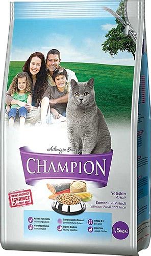 champion kuru kedi maması